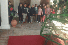 IMG-20181205-WA0023