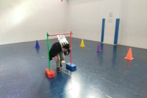 c0af715a-b018-4d1f-8cea-ecb510a8984b