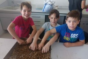 9afb732a-2005-4955-a841-4643b75f9283