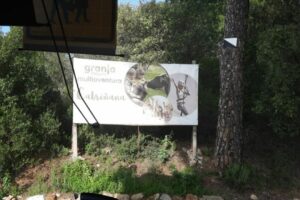 WhatsApp Image 2023-03-18 at 13.22.42 (3)