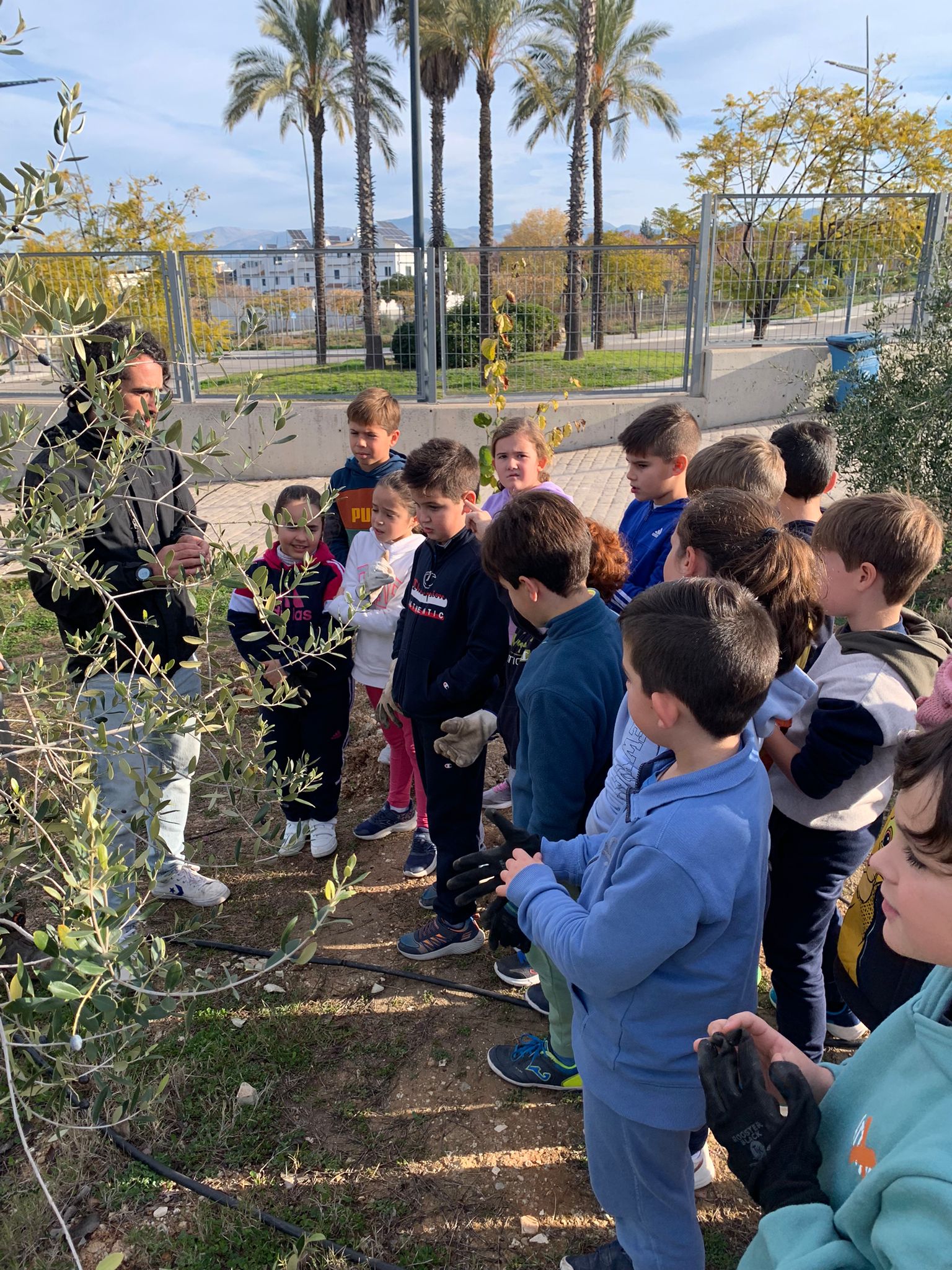 Forestales Forestales