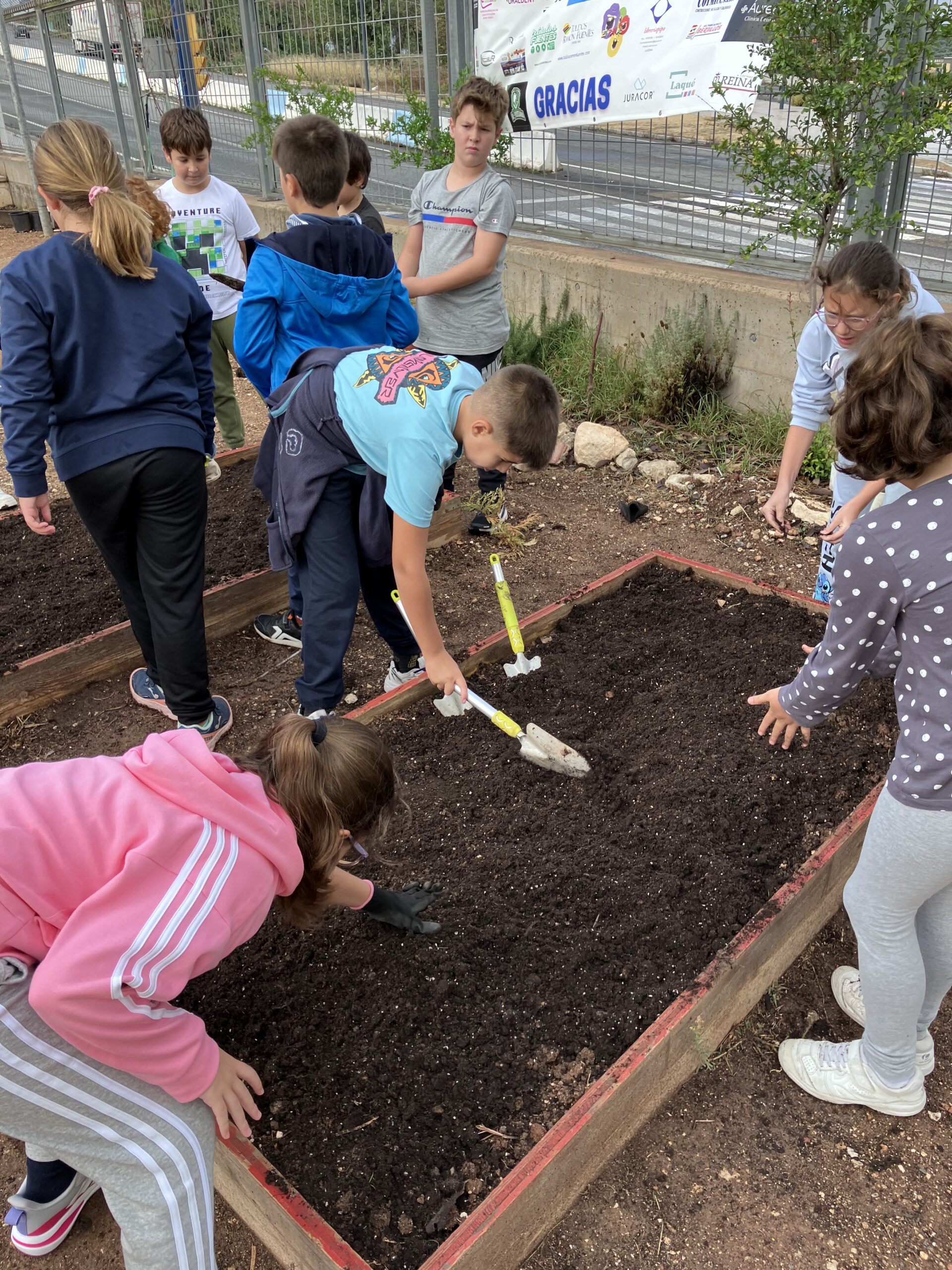 IMG_1163HUERTO IMG_1163HUERTO