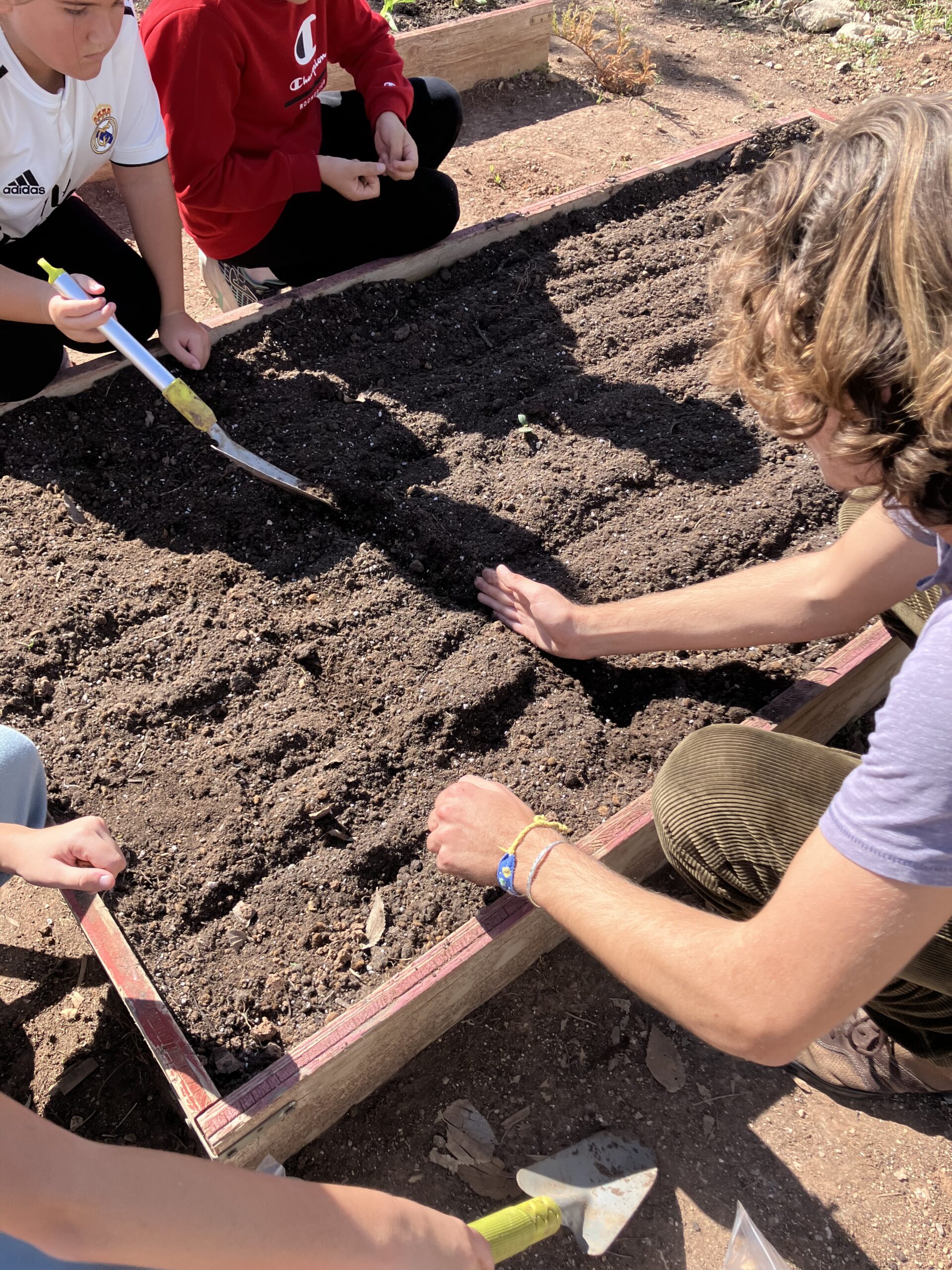 IMG_1344HUERTO IMG_1344HUERTO