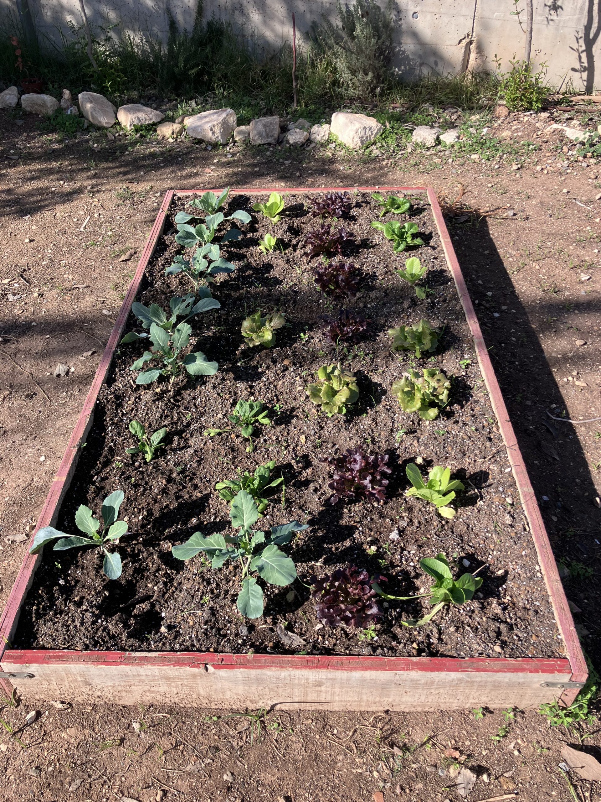 IMG_1601HUERTO IMG_1601HUERTO