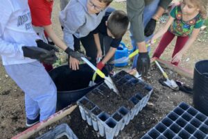 IMG_1621GERMINADORAS