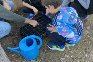 IMG_1627GERMINADORAS