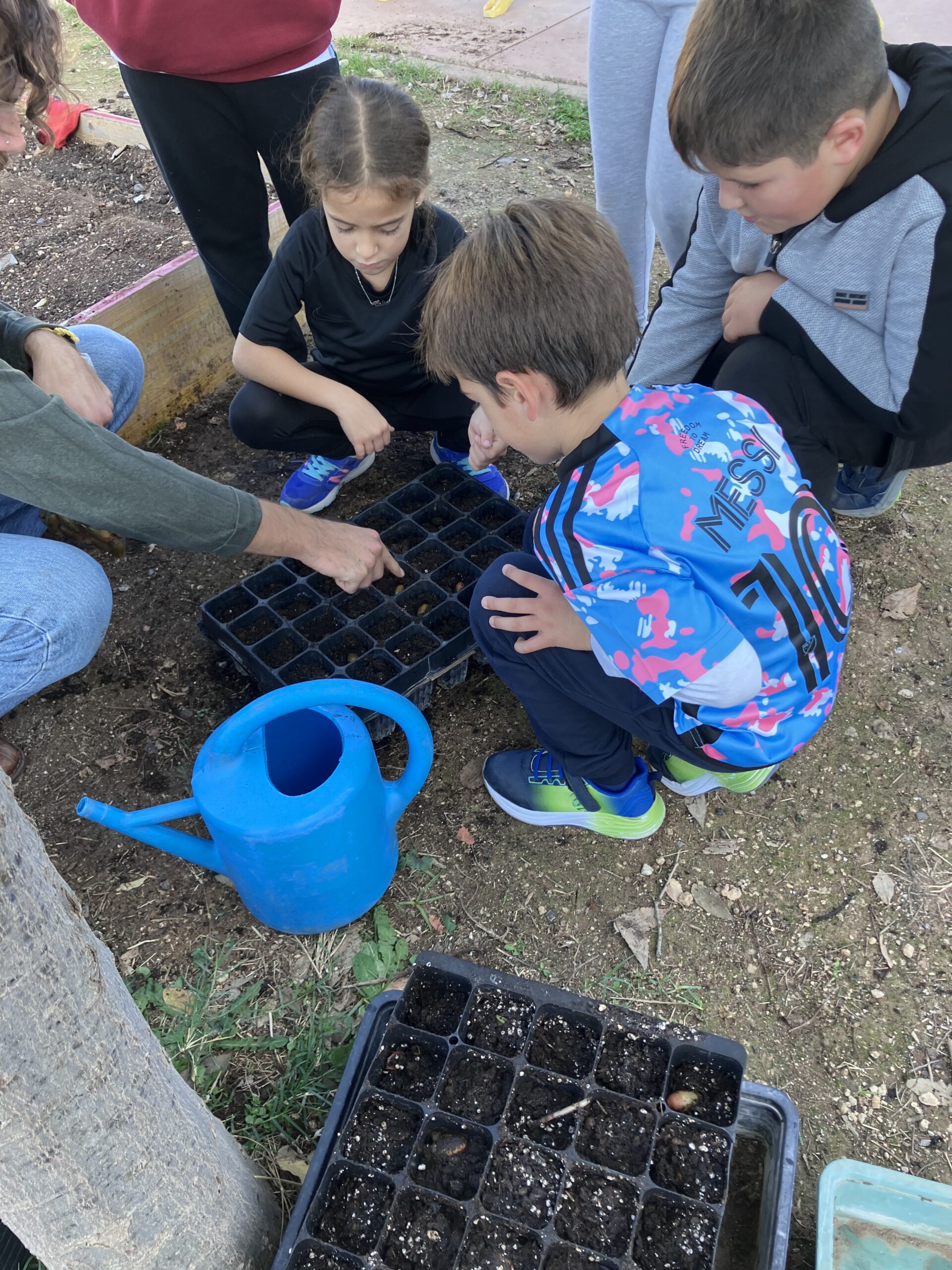 IMG_1627GERMINADORAS IMG_1627GERMINADORAS