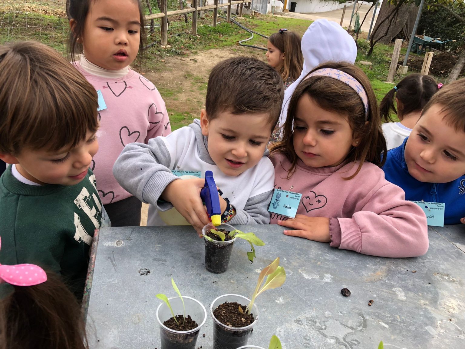 WhatsApp-Image-2024-10-28-at-12.43.42-3-1536x1152 WhatsApp-Image-2024-10-28-at-12.43.42-3-1536x1152