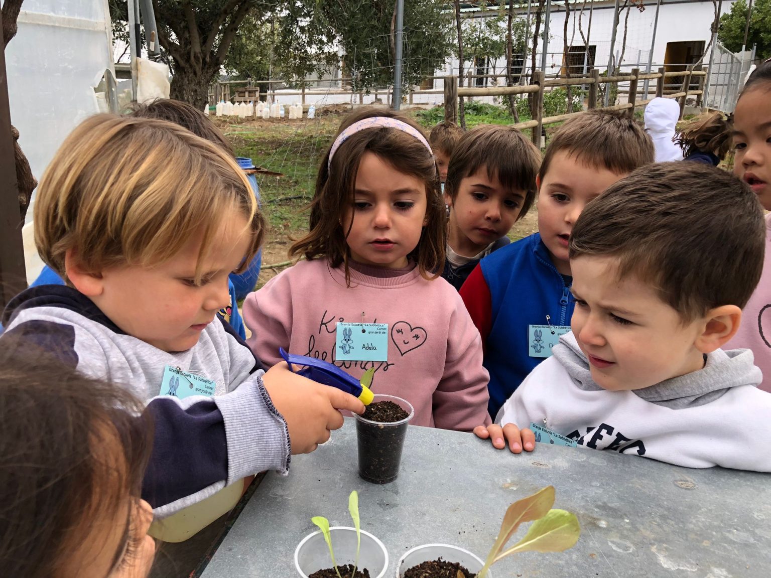 WhatsApp-Image-2024-10-28-at-12.43.42-4-1536x1152 WhatsApp-Image-2024-10-28-at-12.43.42-4-1536x1152