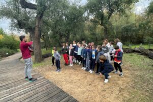 WhatsApp Image 2024-11-26 at 14.42.08