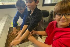 WhatsApp Image 2024-11-26 at 14.42.08 (4)