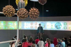 WhatsApp Image 2024-11-26 at 14.42.26