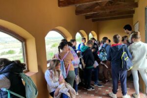 WhatsApp Image 2024-12-03 at 10.48.39 (1)