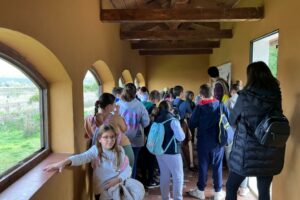 WhatsApp Image 2024-12-03 at 10.48.39