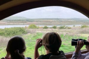 WhatsApp Image 2024-12-03 at 13.53.21 (1)