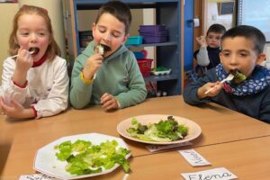 28fb39b4-096f-417e-a321-eb8de571d4fe