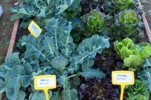 94d50be9-1502-494b-8007-48e6cea52ea9