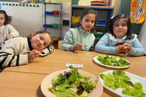 c24b63e7-f4a8-4f61-9038-555996fbd2dd