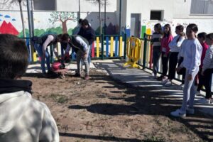 WhatsApp Image 2025-03-26 at 19.17.01