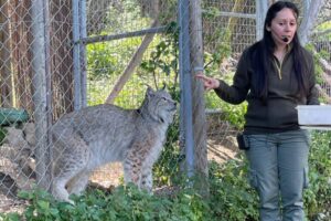 WhatsApp Image 2025-04-01 at 23.12.42 (15)