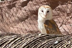 WhatsApp Image 2025-04-01 at 23.12.42 (16)