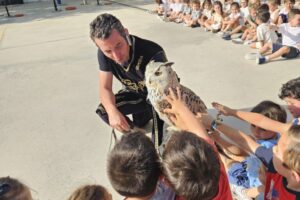 📚✨ Fiesta de Fin de Curso de Infantil «Historia»