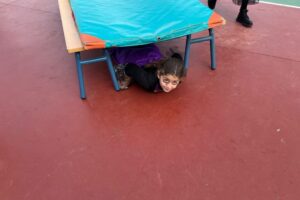 WhatsApp Image 2025-10-31 at 12.52.47