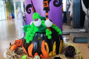 WhatsApp Image 2025-10-31 at 13.18.25