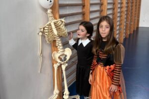 WhatsApp Image 2025-10-31 at 13.45.31