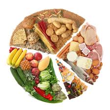 ALIMENTACIÓN 1
