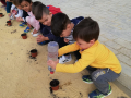 IMG-20191120-WA0069