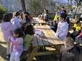 IMG-20250206-WA0050