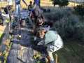 IMG-20250206-WA0054