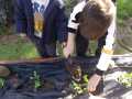 IMG-20250206-WA0061