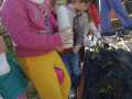 IMG-20250206-WA0062