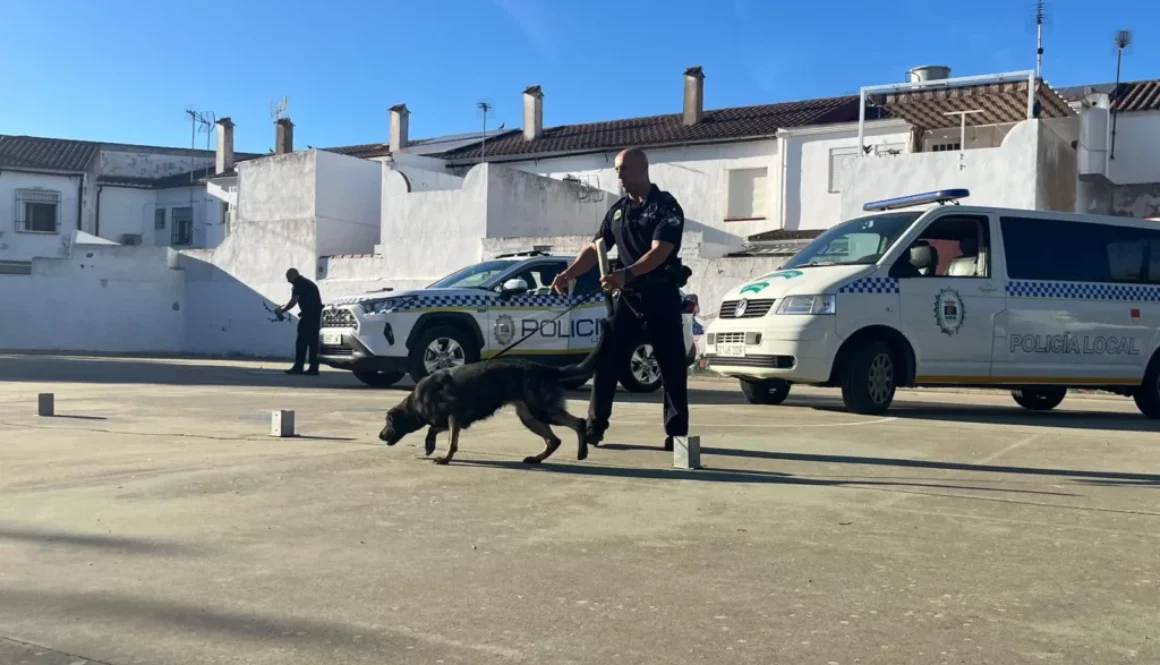 WhatsApp Image 2025-10-27 at 12.08.35 (11)