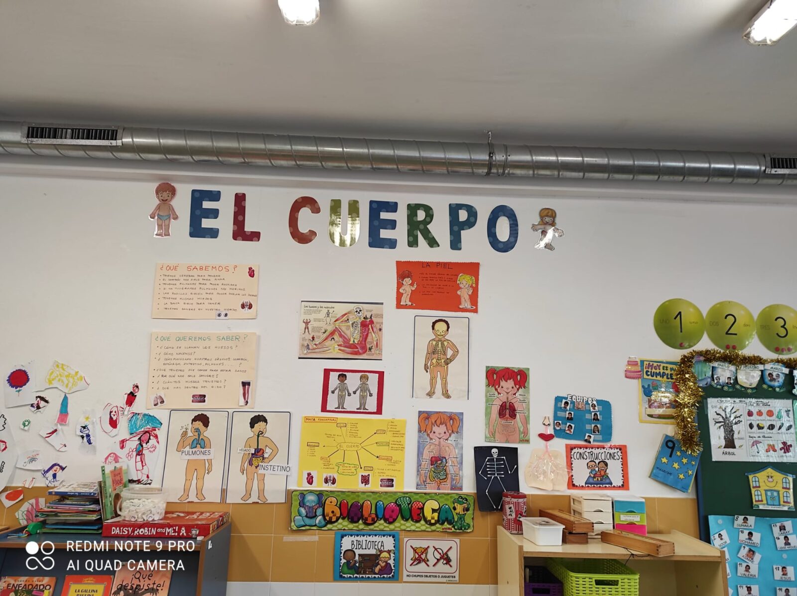 Proyecto «El cuerpo humano»  CEIP César Barrios (Lepe)