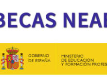 Becas NEAE