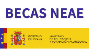 Becas NEAE