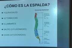 WhatsApp-Image-2024-11-26-at-20.55.02-2