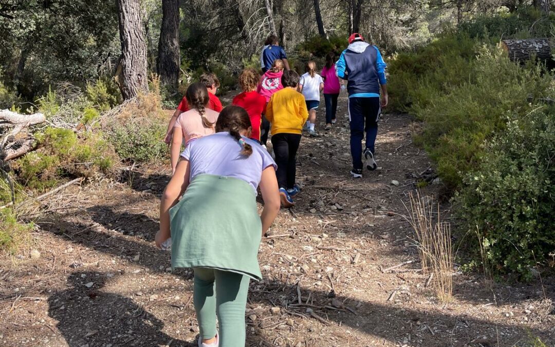TALLER MEDIOAMBIENTAL CENTRO DE INTERPRETACIÓN P.N. SIERRA MÁGINA MATA BEJID