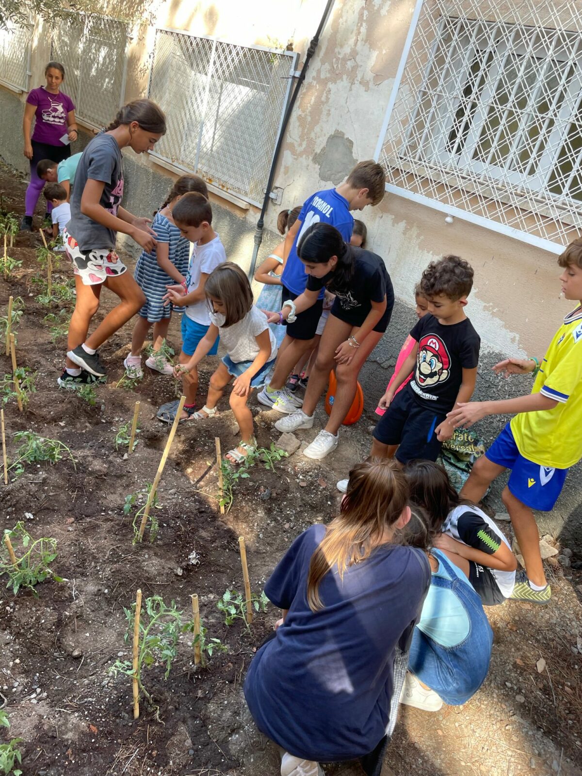 Iniciamos la siembra en el huerto