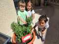 Huerto-Infantil-1