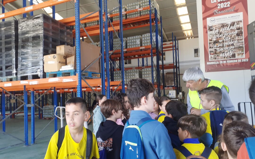 Banco de Alimentos. 5º de Primaria