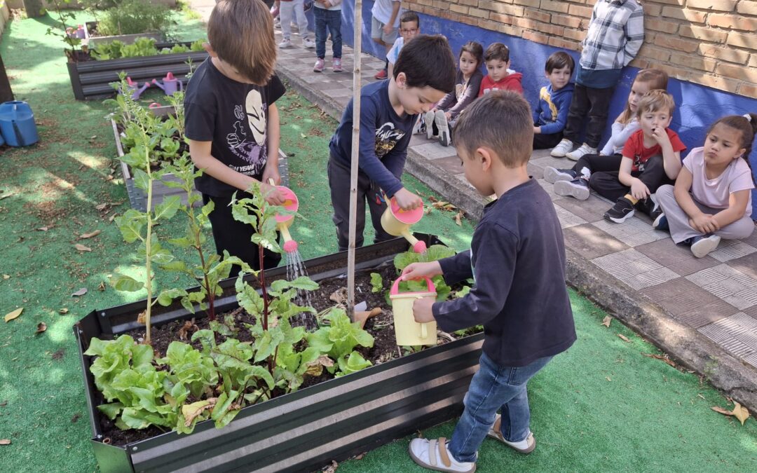 Huerto Escolar. Infantil 4 años B