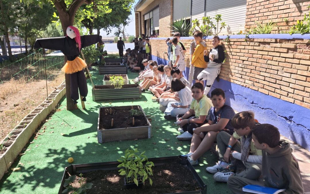 Siembra en nuestro Huerto Ecológico Escolar