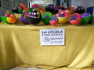 La célula