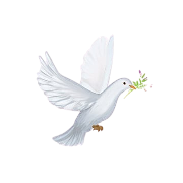 DÍA DE LA PAZ Y LA NO VIOLENCIA (30 enero 2025)