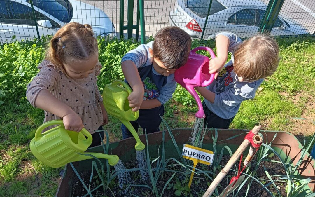 Infantil de 4 años en el Huerto