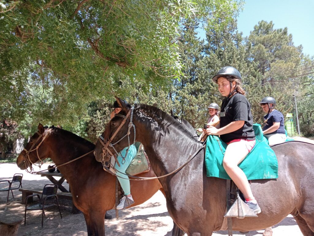 IMG20220517125634_BURST001_COVER